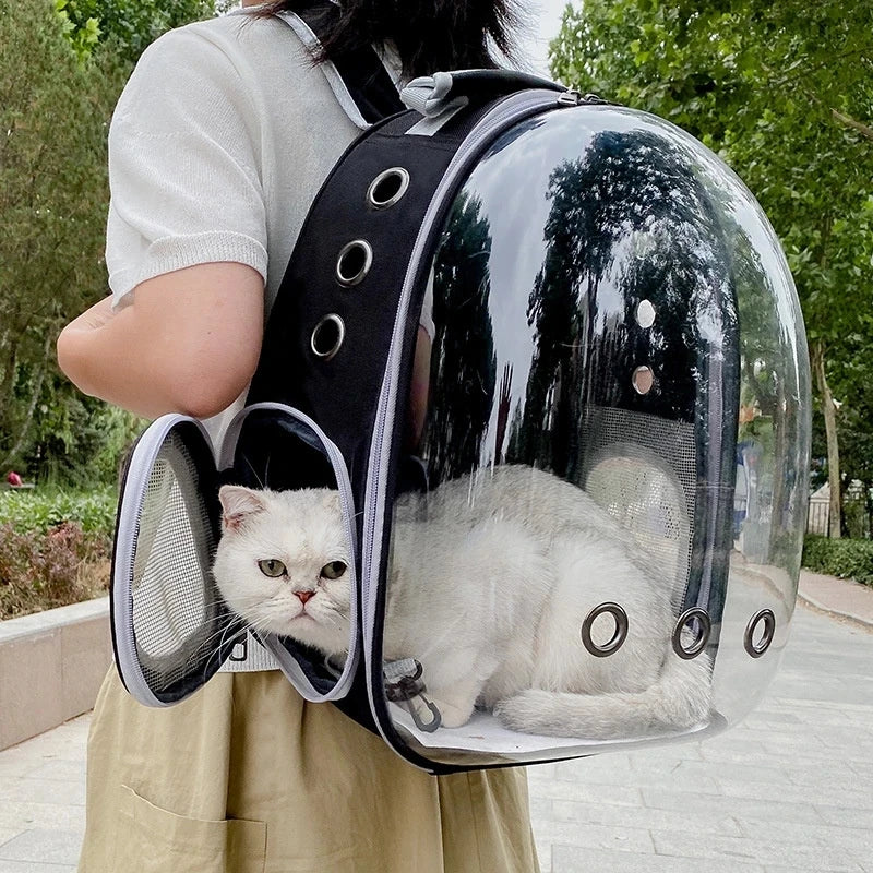 Sac à dos de transport pour chatons/chats