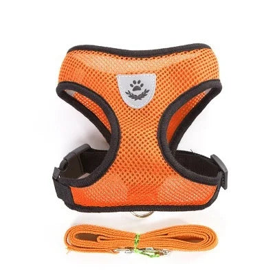 Harnais pour chat avec laisse en plomb, gilet réglable