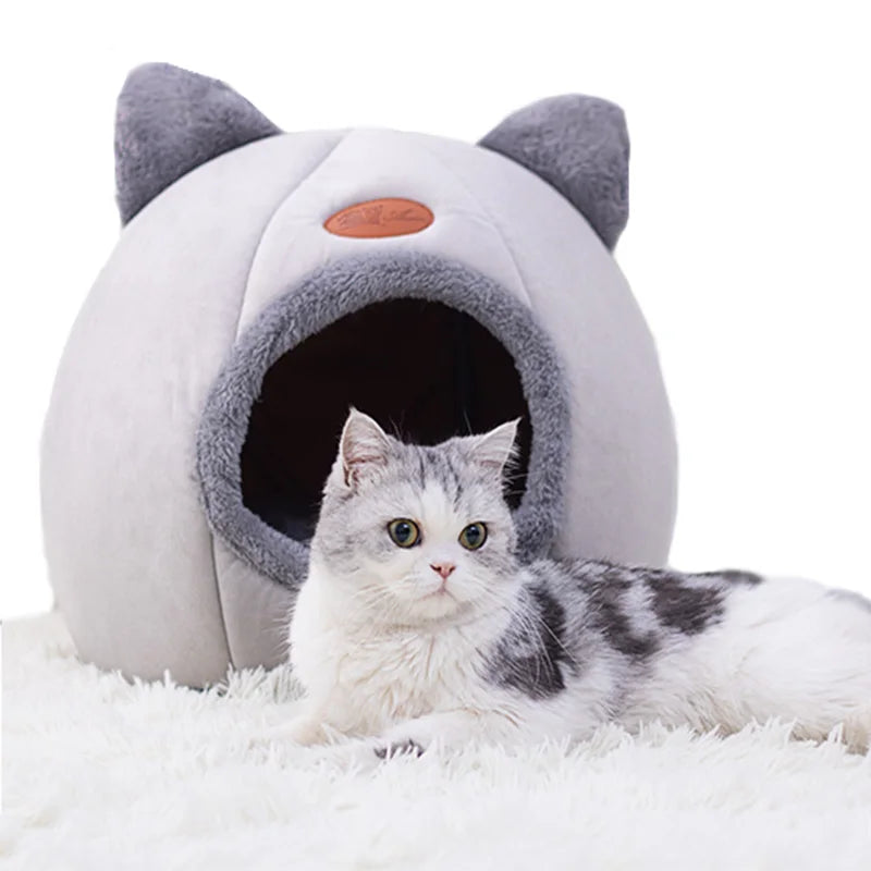 Lit de chat confortable et chaud pour l’hiver, idéal pour siestes