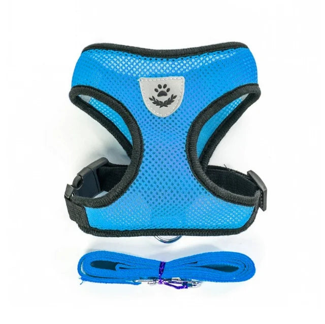 Harnais pour chat avec laisse en plomb, gilet réglable
