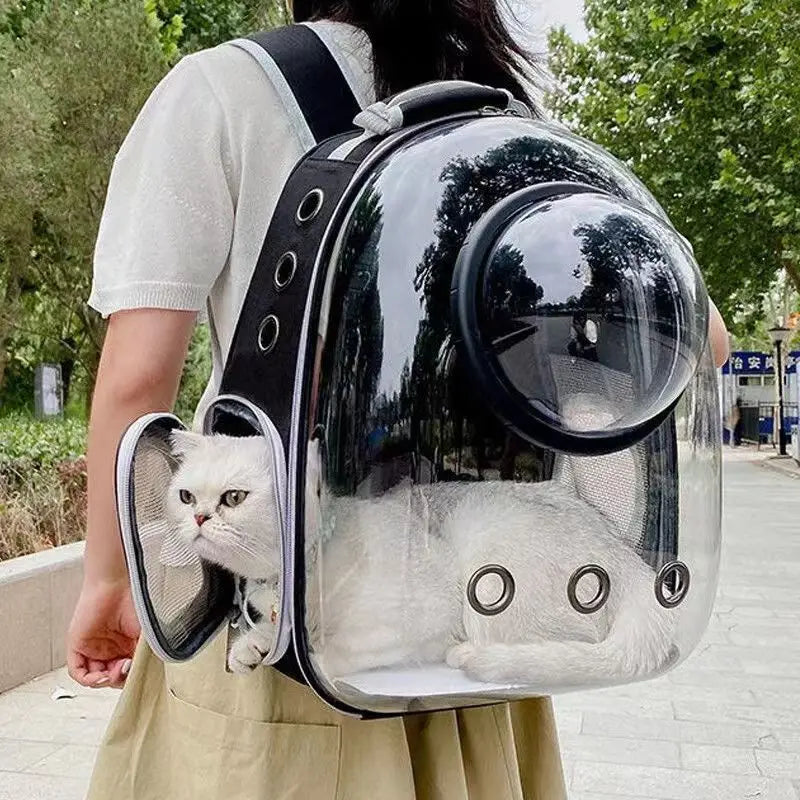 Sac à dos de transport pour chatons/chats