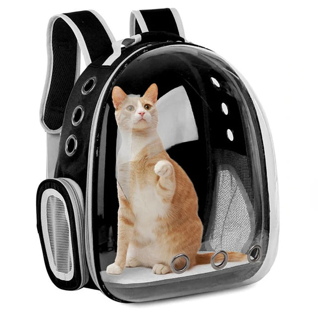 Sac à dos de transport pour chatons/chats