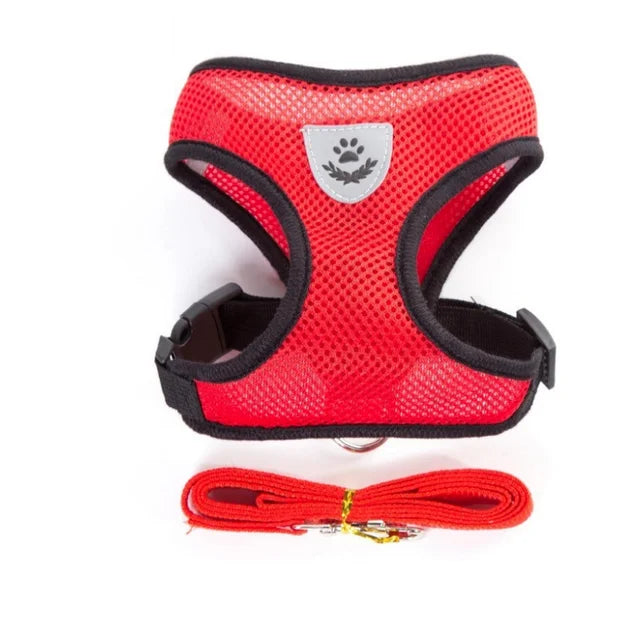 Harnais pour chat avec laisse en plomb, gilet réglable