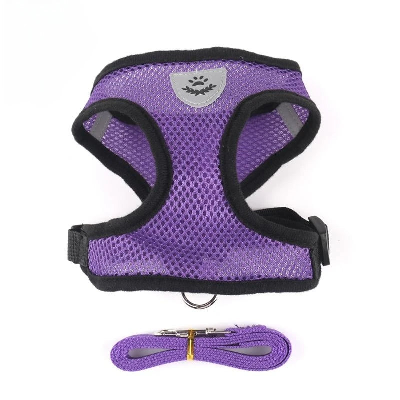 Harnais pour chat avec laisse en plomb, gilet réglable