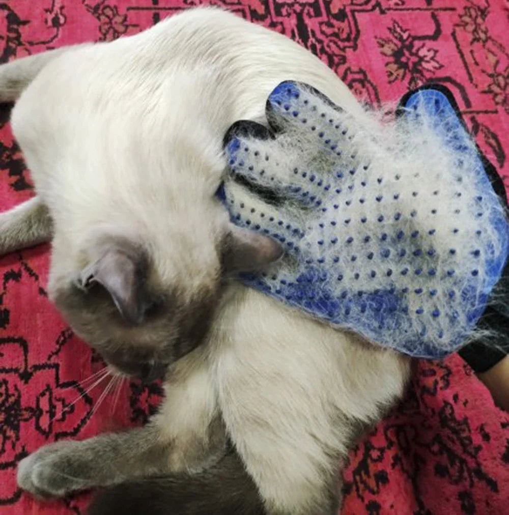 Gants pour enlever les poils d'animaux, massage pour chats
