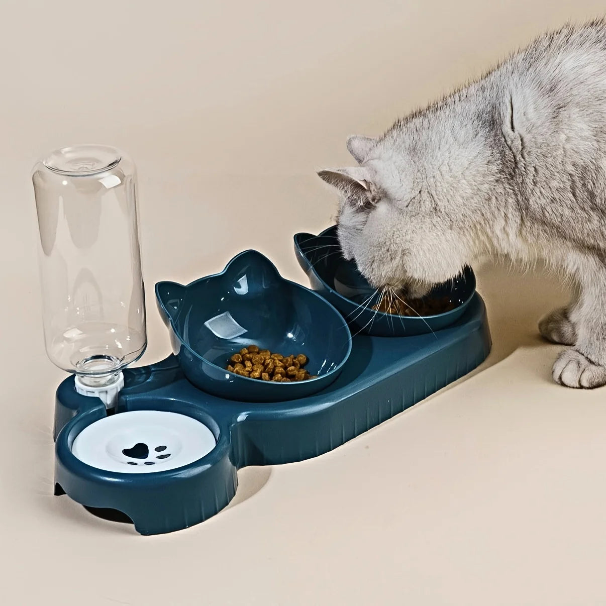 Bols à eau et à nourriture pour chats, avec mangeoire