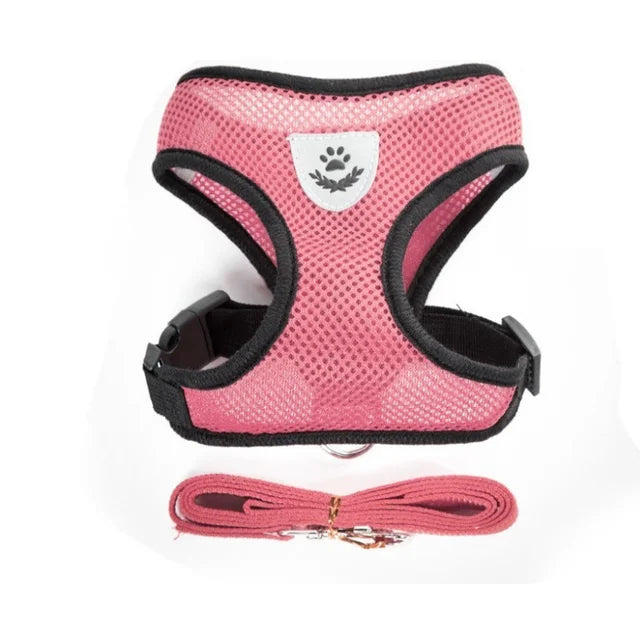 Harnais pour chat avec laisse en plomb, gilet réglable