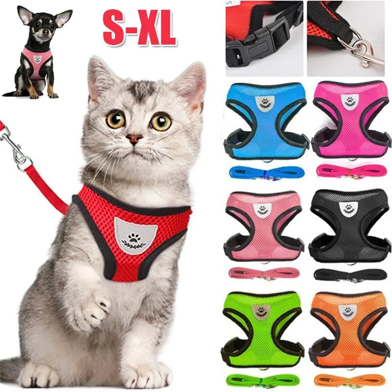 Harnais pour chat avec laisse en plomb, gilet réglable