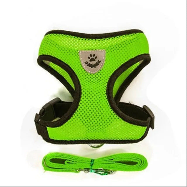 Harnais pour chat avec laisse en plomb, gilet réglable