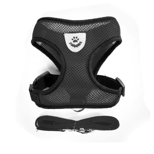 Harnais pour chat avec laisse en plomb, gilet réglable