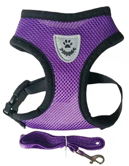 Harnais pour chat avec laisse en plomb, gilet réglable