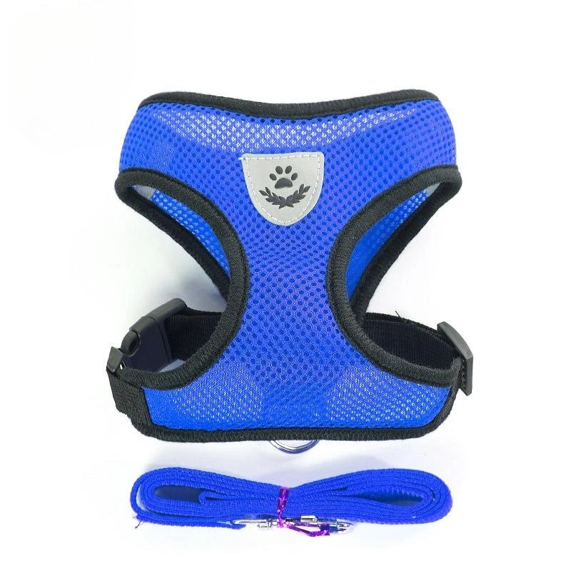Harnais pour chat avec laisse en plomb, gilet réglable